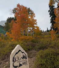 View of property's community