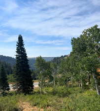 View of mountain backdrop featuring a heavily wooded area