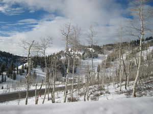 Near Powder Mountain road