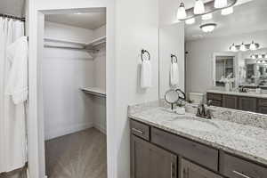 Full bath with a walk in closet, vanity, light colored carpet, and a shower with curtain