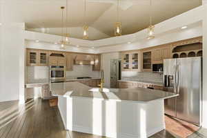Kitchen featuring glass insert cabinets, stainless steel appliances, a large island, lofted ceiling, and pendant lighting