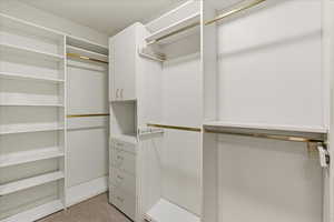Walk in closet featuring light colored carpet