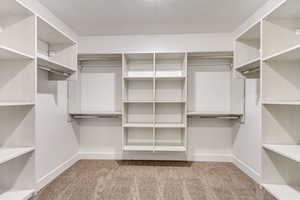 Walk in closet featuring light colored carpet