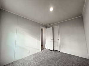 Unfurnished bedroom featuring carpet