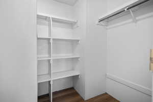 Walk in closet featuring dark wood-style floors