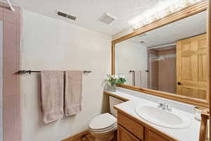 Full bathroom featuring vanity, a textured ceiling, and a shower