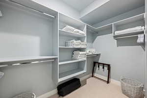 Walk in closet featuring light carpet