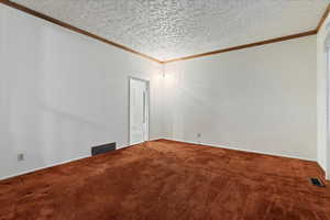 Carpeted empty room with crown molding and a textured ceiling