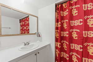 Full bathroom featuring vanity and a shower with curtain