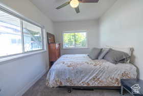 Carpeted bedroom featuring baseboards and a ceiling fan
