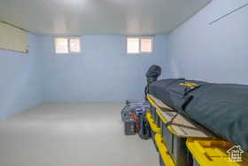 Bedroom with multiple windows