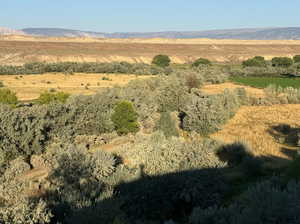 View of mountain backdrop