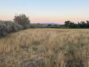 View of local wilderness