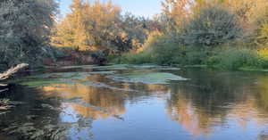 Water view featuring a forest