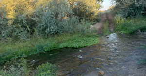 View of nature with a large body of water