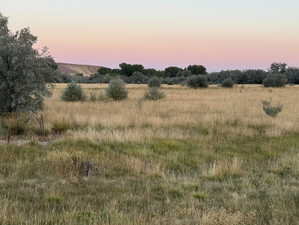 View of undeveloped land featuring rural landscape