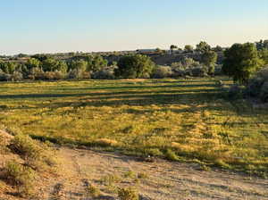 View of nature featuring rural landscape