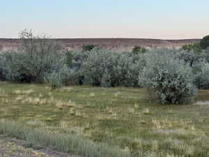 Nature at dusk with a rural view