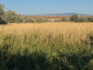 View of undeveloped land featuring rural landscape