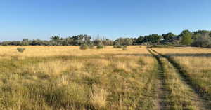 View of nature featuring rural landscape
