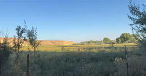 View of yard featuring a view of rural / pastoral area