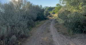 View of dirt / gravel road featuring a wooded view