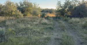 View of nature with rural landscape