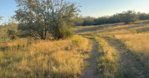 View of nature with rural landscape
