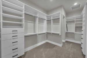 Spacious closet featuring light carpet