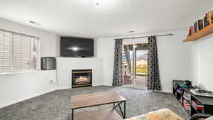 Living room with a glass covered fireplace, carpet, and a textured ceiling