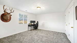 Office area featuring carpet floors and a textured ceiling