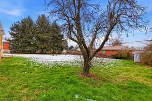 View of yard covered in snow