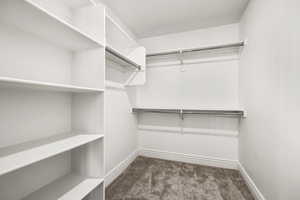Spacious closet with dark carpet