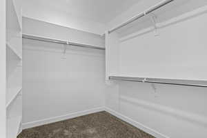 Spacious closet with carpet flooring
