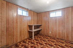 Basement featuring wooden walls and a textured ceiling