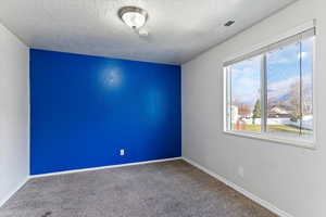Empty room featuring carpet flooring and a textured ceiling
