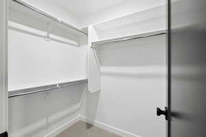 Walk in closet with carpet