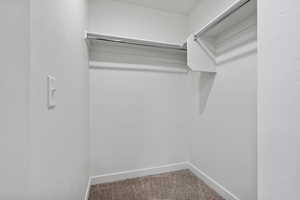 Walk in closet featuring light colored carpet