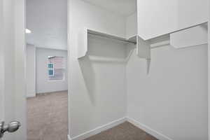 Walk in closet featuring light colored carpet