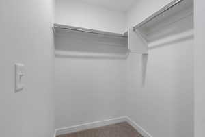 Walk in closet with carpet flooring