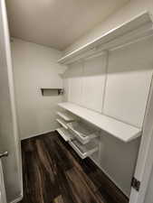 Walk in closet with dark wood-style floors