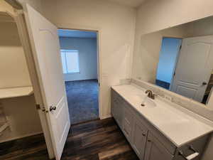 Bathroom featuring vanity and dark wood-type flooring