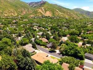 Residential area featuring mature trees and mountain backdrops
