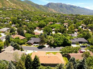 Residential neighborhood featuring a variety of single-family homes, mature trees, and a mountainous backdrop