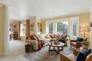 Carpeted living area featuring decorative columns, crown molding, and a textured ceiling