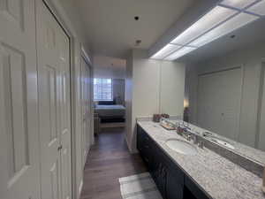 Bathroom featuring a closet, vanity, ensuite bathroom, and dark wood-style flooring