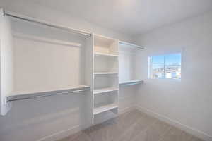 Spacious closet featuring light carpet