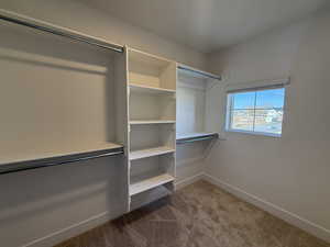 Spacious closet featuring dark colored carpet