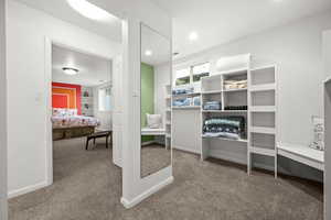 Walk in closet with light colored carpet