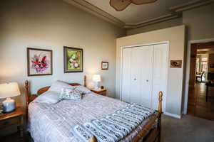 Bedroom with a closet and dark carpet